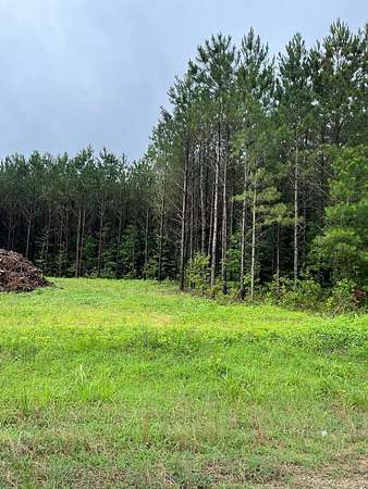4.5 Acres of Residential Land for Sale in Banks, Alabama