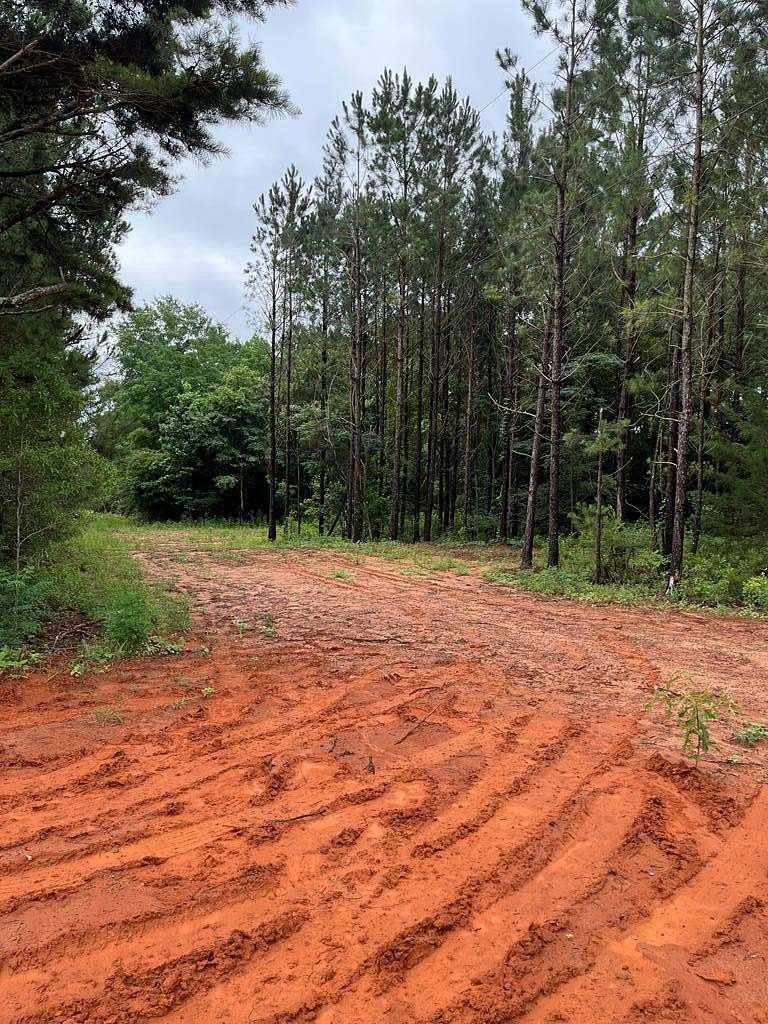 4.5 Acres of Land for Sale in Banks, Alabama