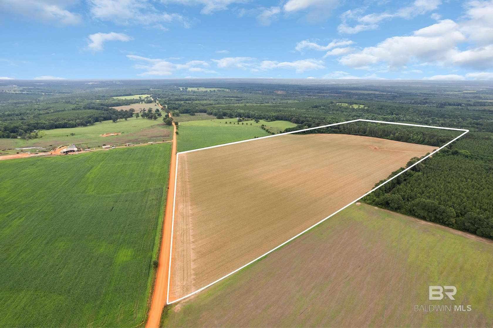76 Acres of Land for Sale in Repton, Alabama