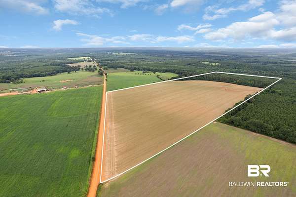76 Acres of Land for Sale in Repton, Alabama