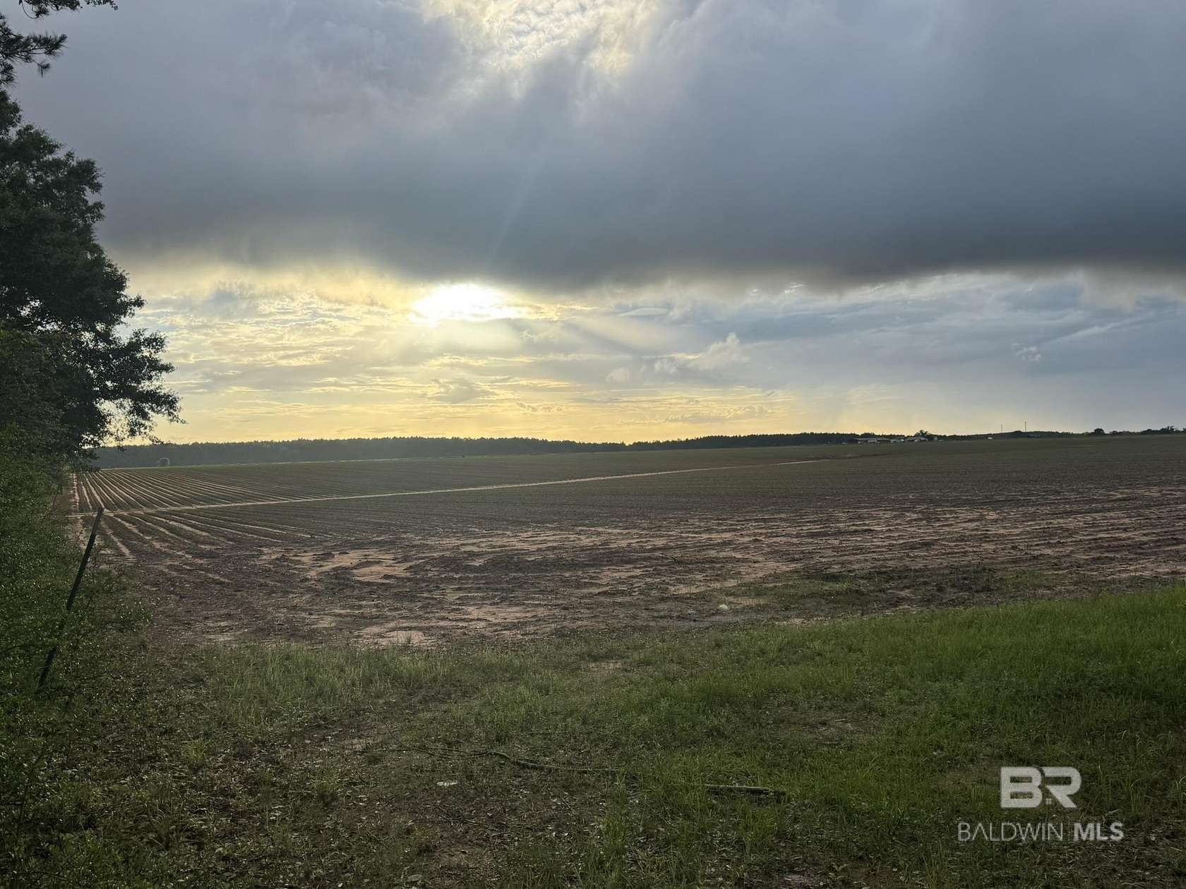 40 Acres of Land for Sale in Repton, Alabama