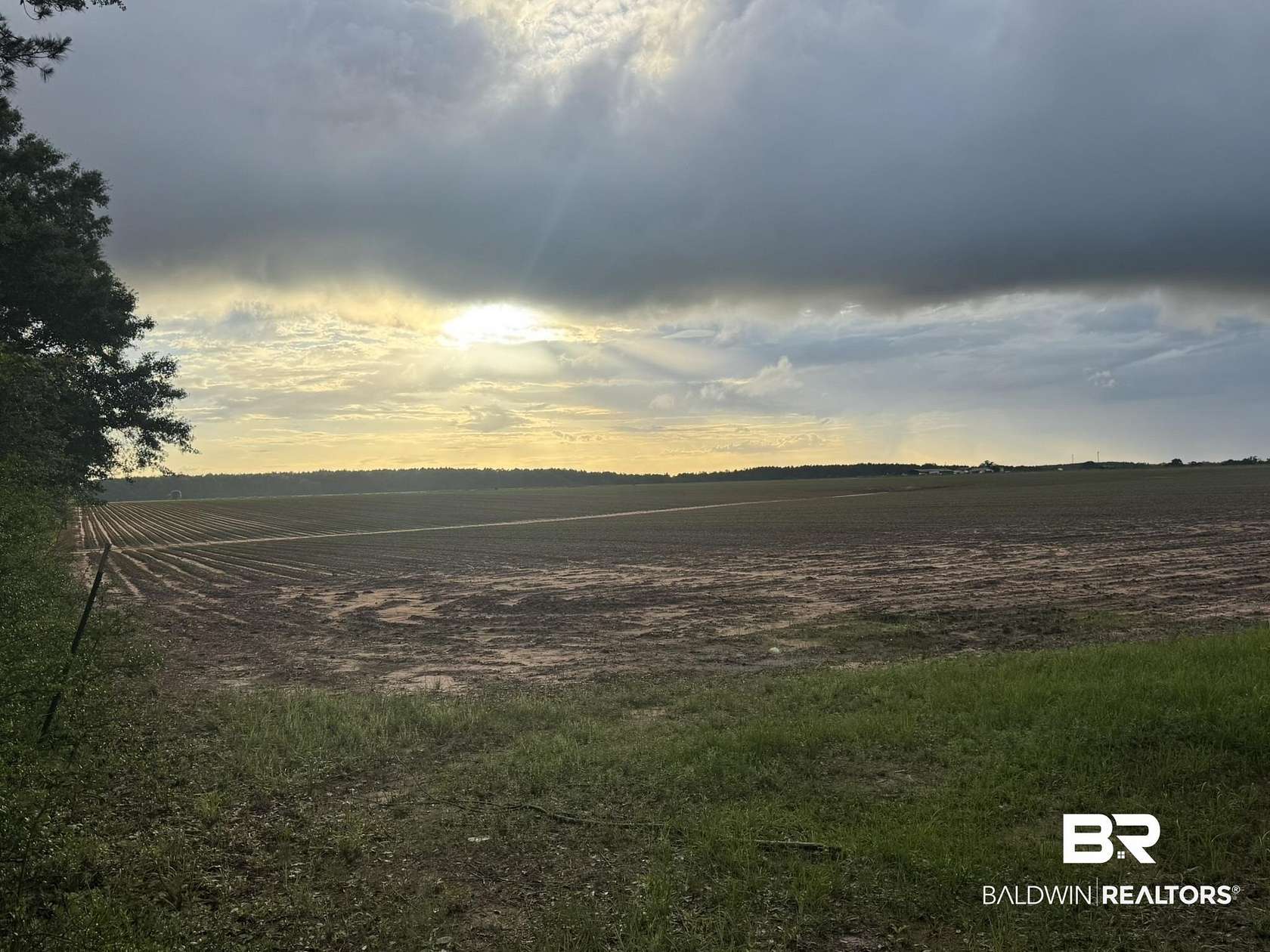 40 Acres of Land for Sale in Repton, Alabama