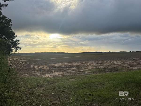 40 Acres of Land for Sale in Repton, Alabama