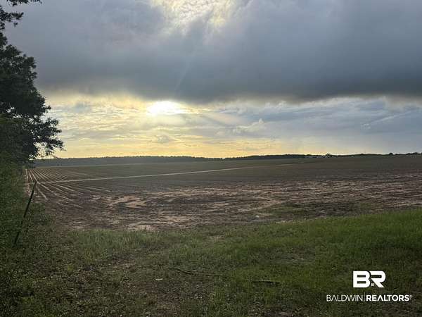 40 Acres of Land for Sale in Repton, Alabama