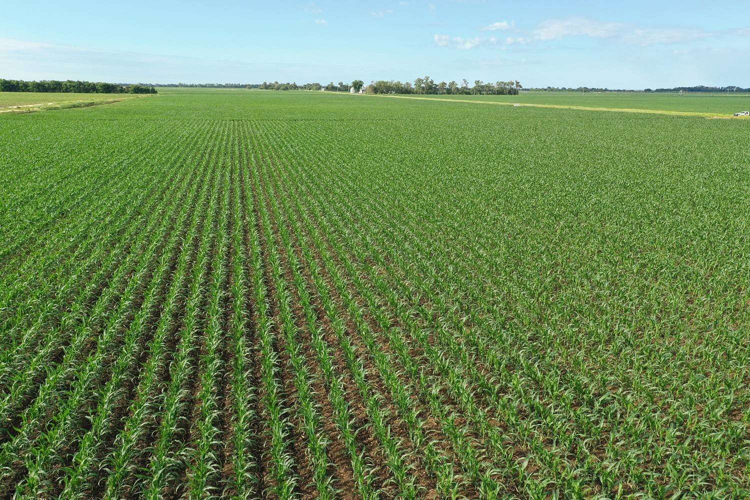153 Acres of Agricultural Land for Sale in Clarks, Nebraska