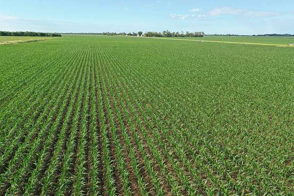 153 Acres of Agricultural Land for Sale in Clarks, Nebraska