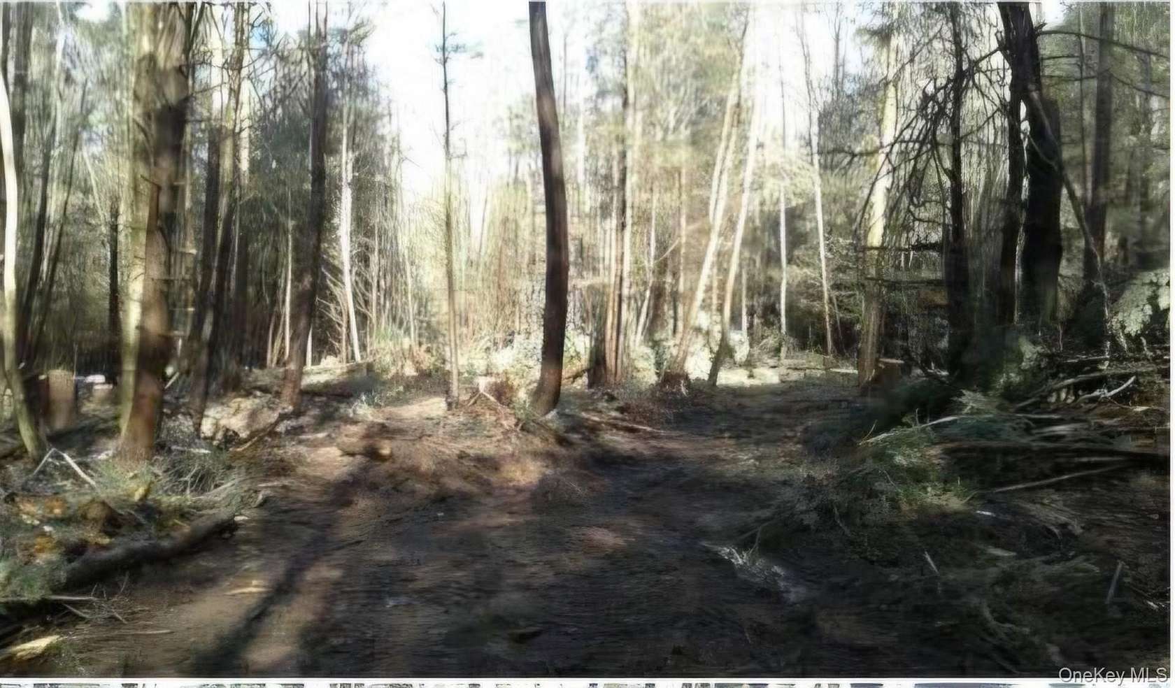 6.6 Acres of Land for Sale in Liberty Town, New York
