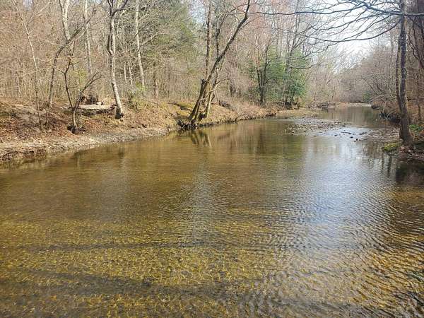 15.8 Acres of Recreational & Residential Land for Sale in Oden, Arkansas