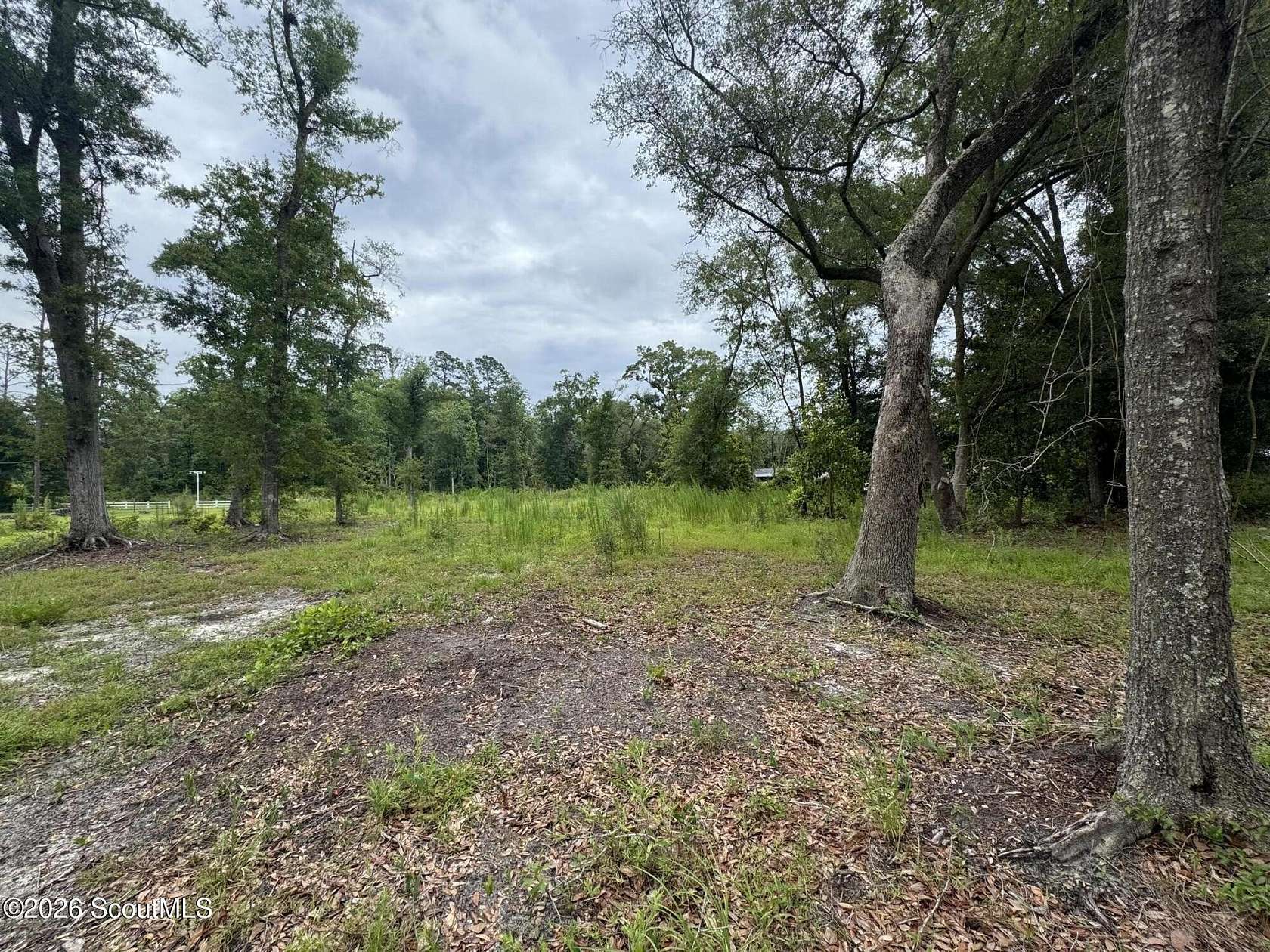 1.59 Acres of Residential Land for Sale in Blackshear, Georgia