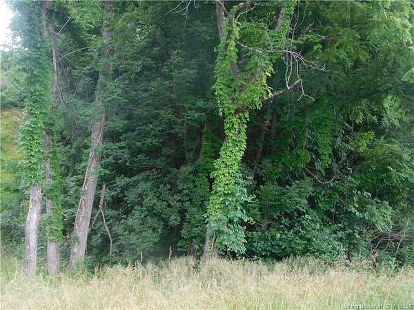 0.48 Acres of Land for Sale in Borden, Indiana