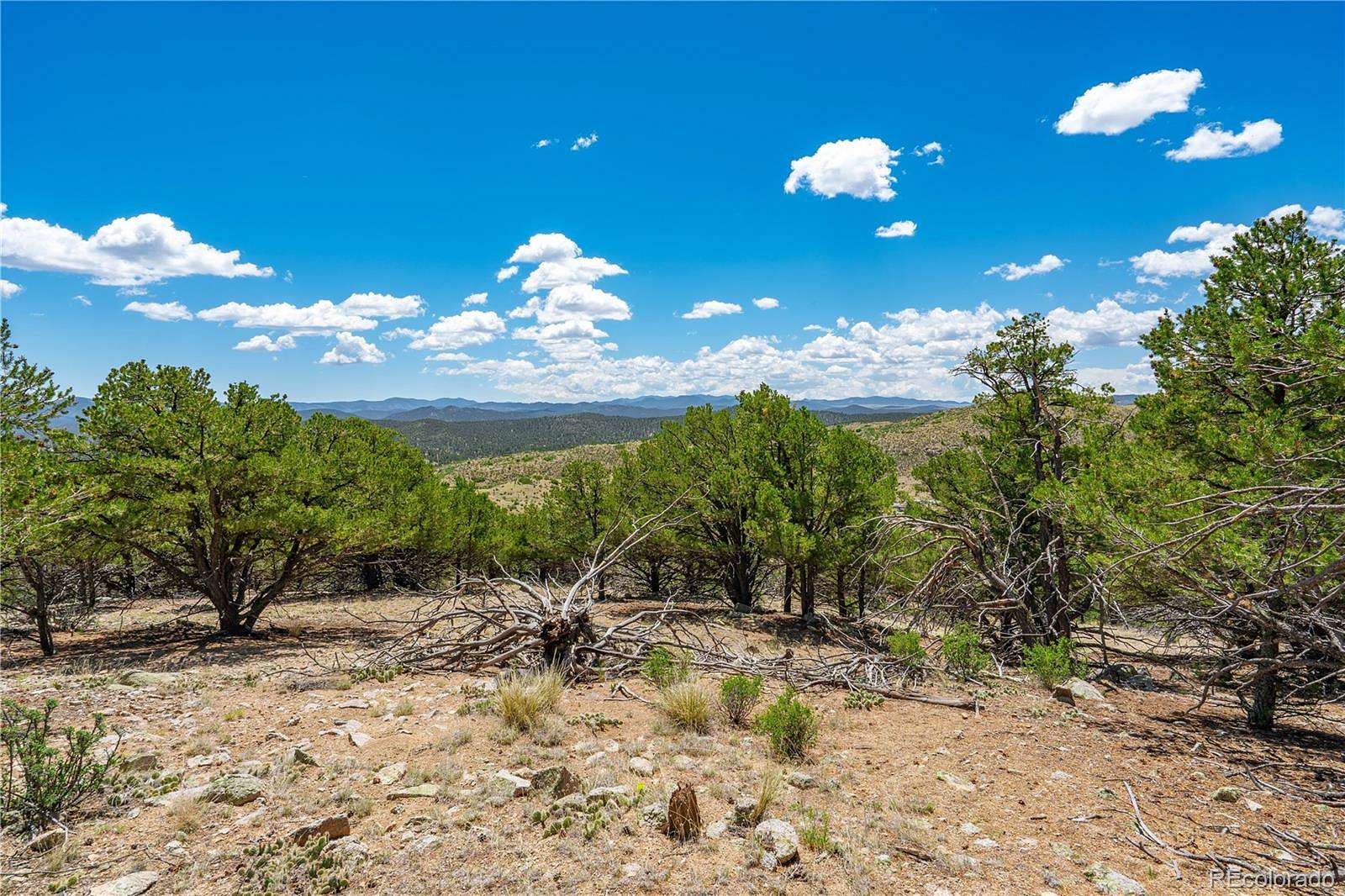 5.5 Acres of Residential Land for Sale in Cotopaxi, Colorado