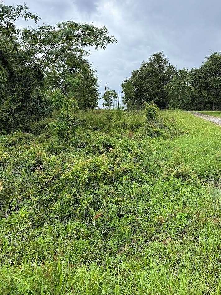 0.26 Acres of Residential Land for Sale in Donalsonville, Georgia