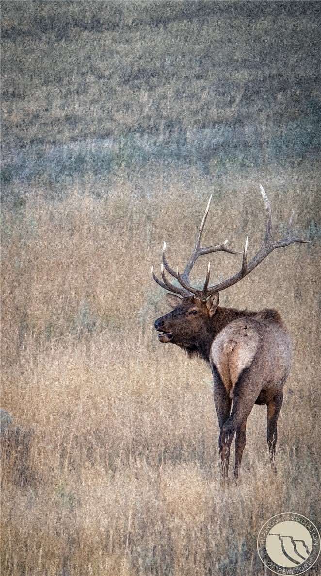 730 Acres of Land with Home for Sale in Winnett, Montana