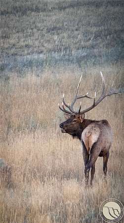 730 Acres of Land with Home for Sale in Winnett, Montana