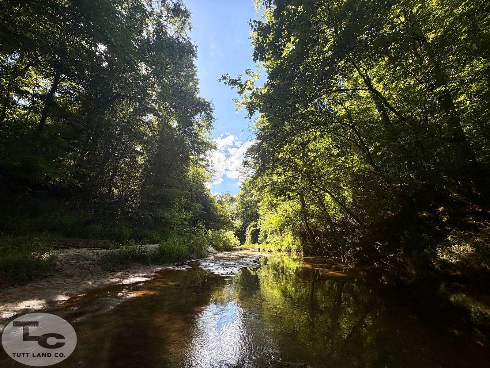 65 Acres of Recreational Land for Sale in Durant, Mississippi