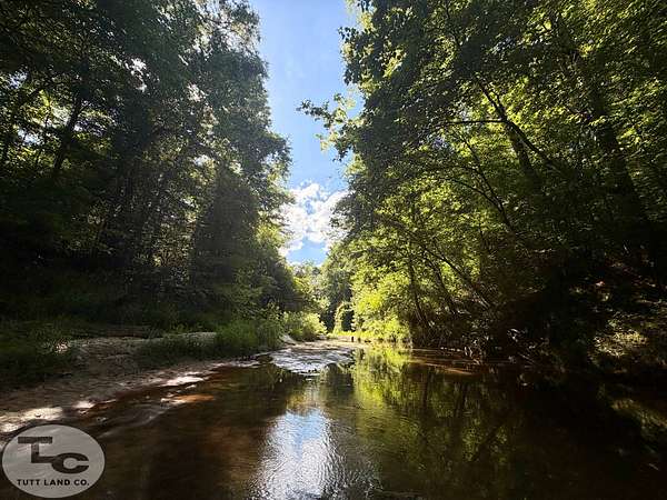 65 Acres of Recreational Land for Sale in Durant, Mississippi