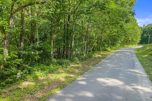 30 Acres of Land for Sale in Holladay, Tennessee