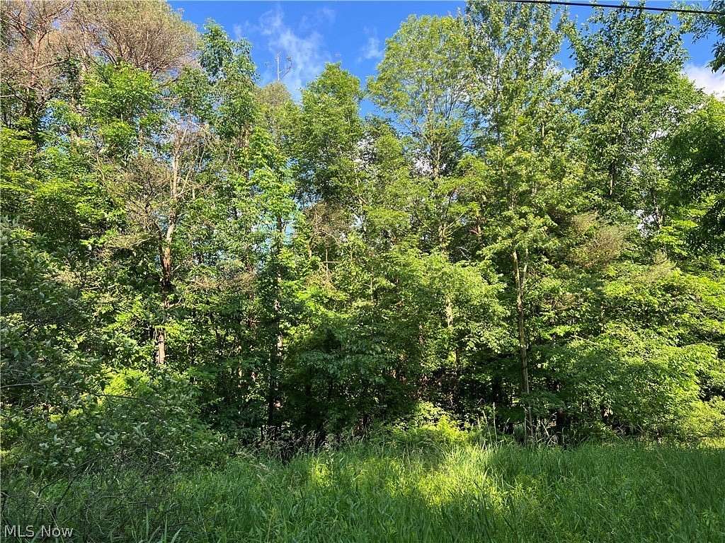 7.7 Acres of Residential Land for Sale in Conneaut, Ohio