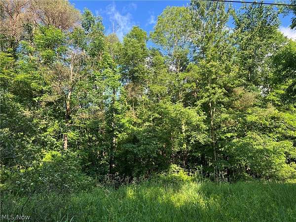 7.7 Acres of Residential Land for Sale in Conneaut, Ohio