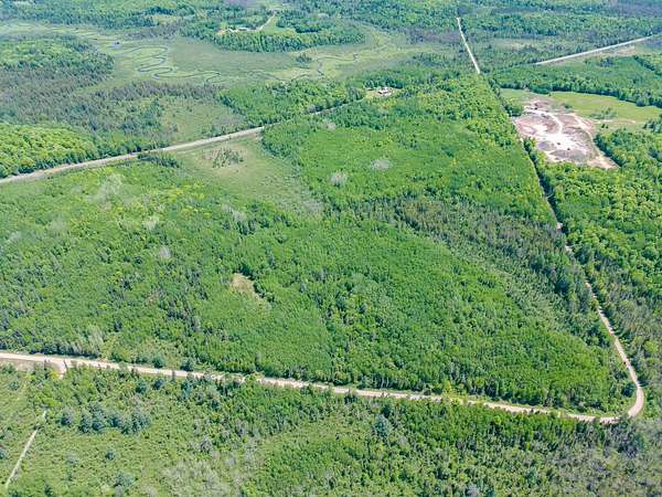 74.4 Acres of Land for Sale in Glidden, Wisconsin