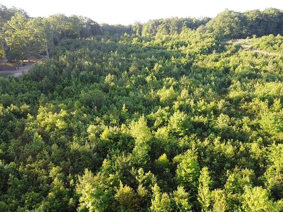 10.5 Acres of Land for Sale in Drakes Branch, Virginia
