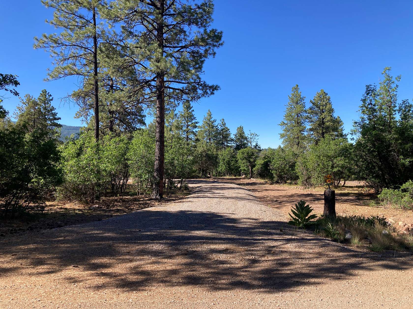 5.17 Acres of Land for Sale in Chama, New Mexico