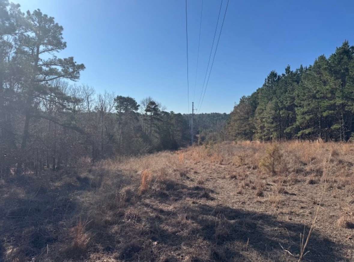 24.6 Acres of Land for Sale in Winnsboro, Texas