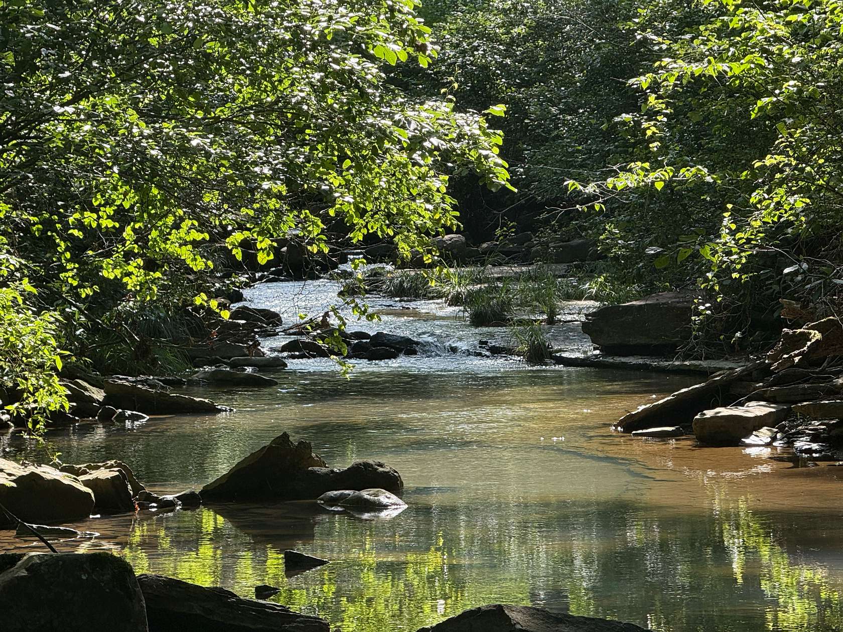 23.8 Acres of Land for Sale in Dennard, Arkansas