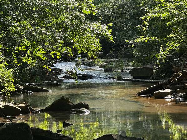 23.8 Acres of Land for Sale in Dennard, Arkansas