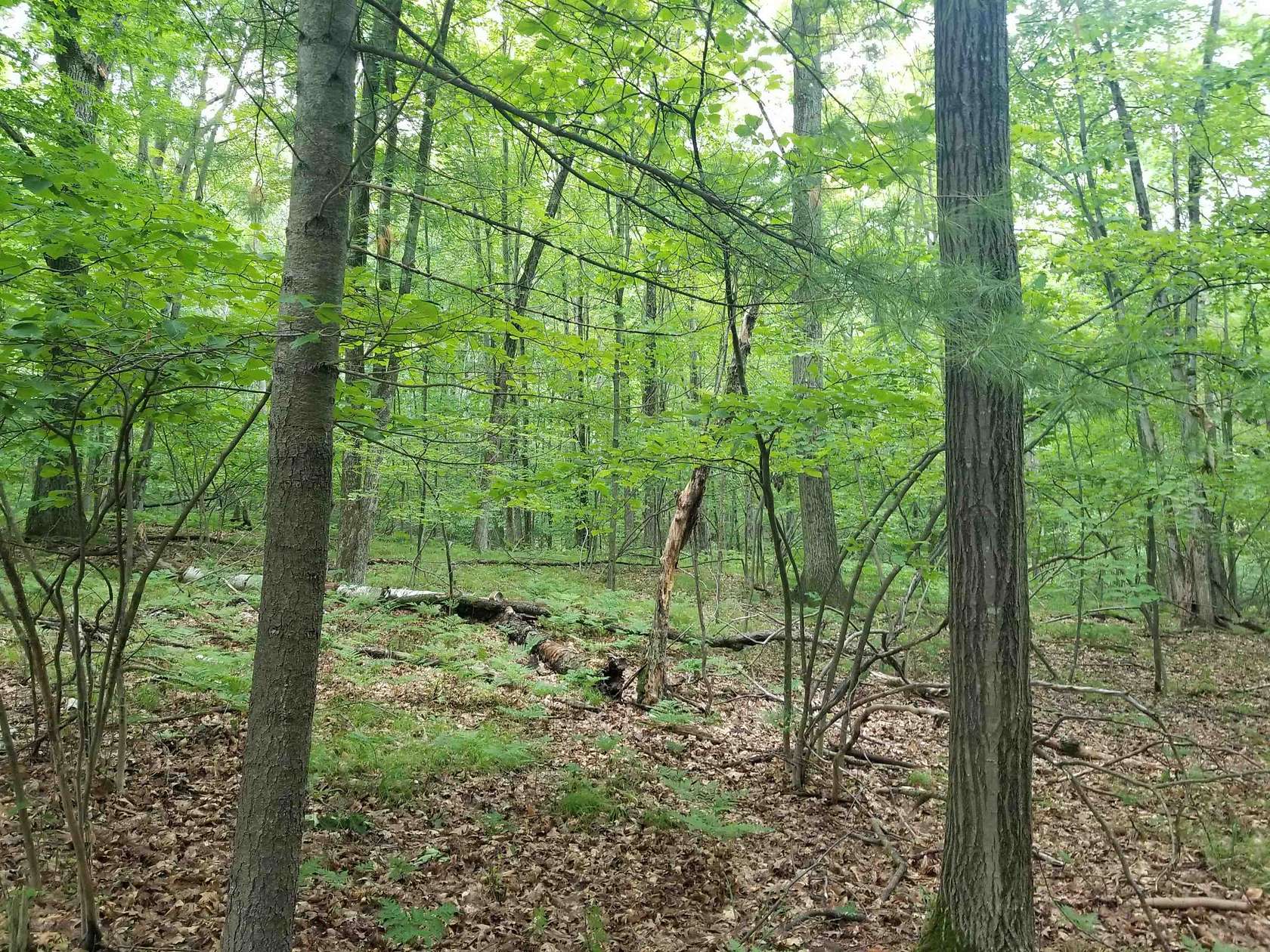 0.89 Acres of Residential Land for Sale in Farwell, Michigan