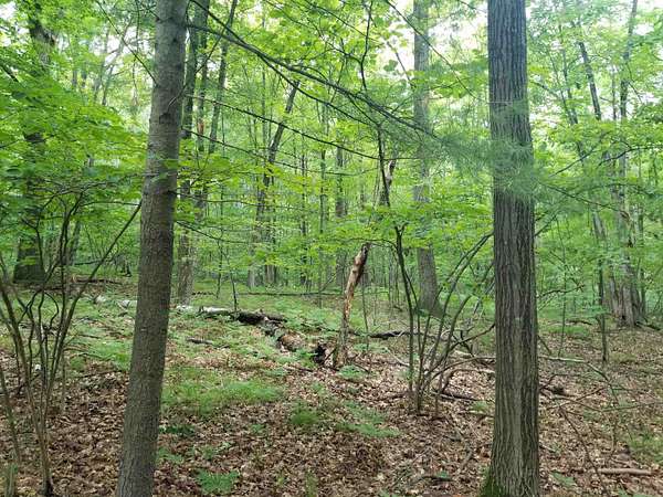 0.89 Acres of Residential Land for Sale in Farwell, Michigan