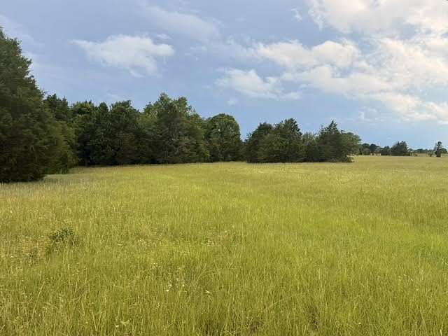 28.1 Acres of Land for Sale in Eustace, Texas
