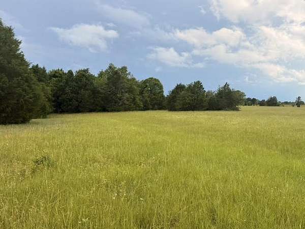 28.1 Acres of Land for Sale in Eustace, Texas