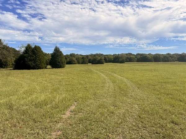 28.1 Acres of Land for Sale in Eustace, Texas