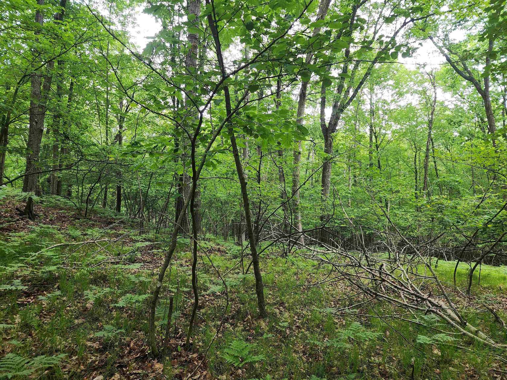 0.8 Acres of Residential Land for Sale in Farwell, Michigan