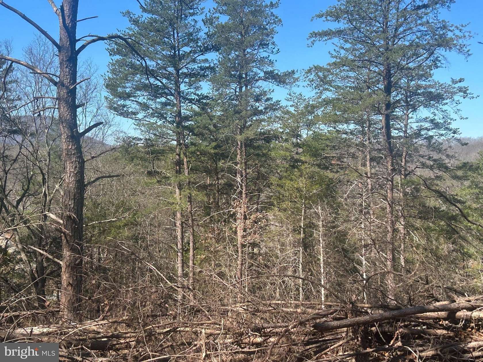 4 Acres of Land for Sale in Strasburg, Virginia