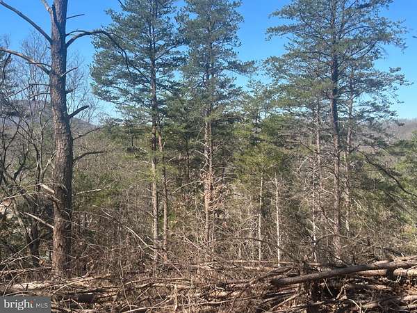 4 Acres of Land for Sale in Strasburg, Virginia