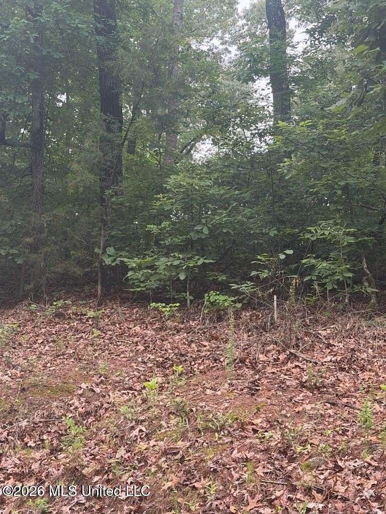 0.26 Acres of Residential Land for Sale in Gore Springs, Mississippi