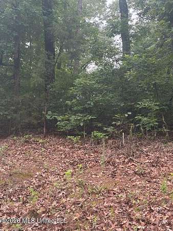 0.26 Acres of Residential Land for Sale in Gore Springs, Mississippi
