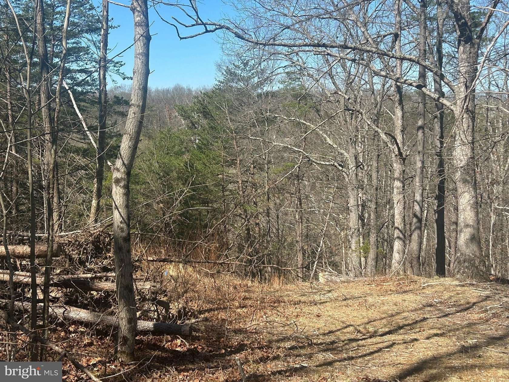5 Acres of Land for Sale in Strasburg, Virginia