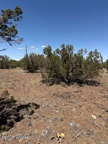 0.3 Acres of Residential Land for Sale in Show Low, Arizona