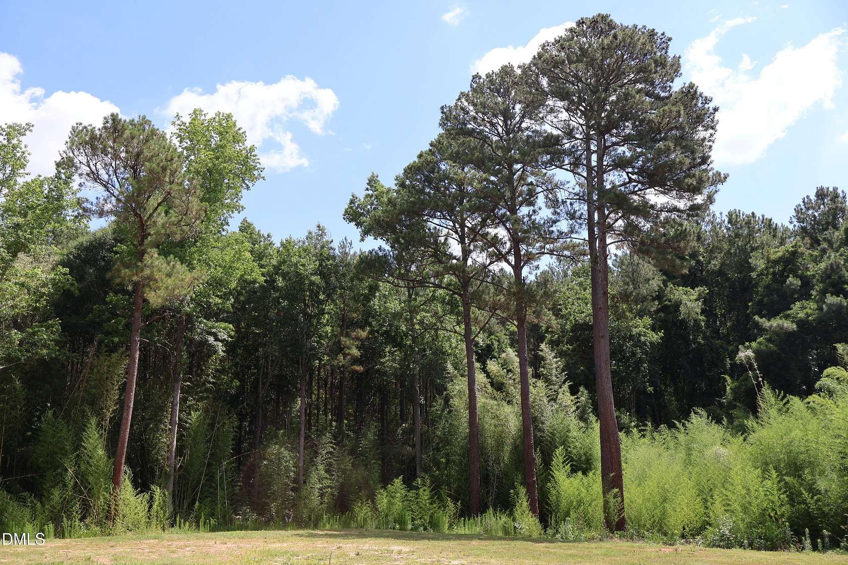 16 Acres of Land for Sale in Coats, North Carolina