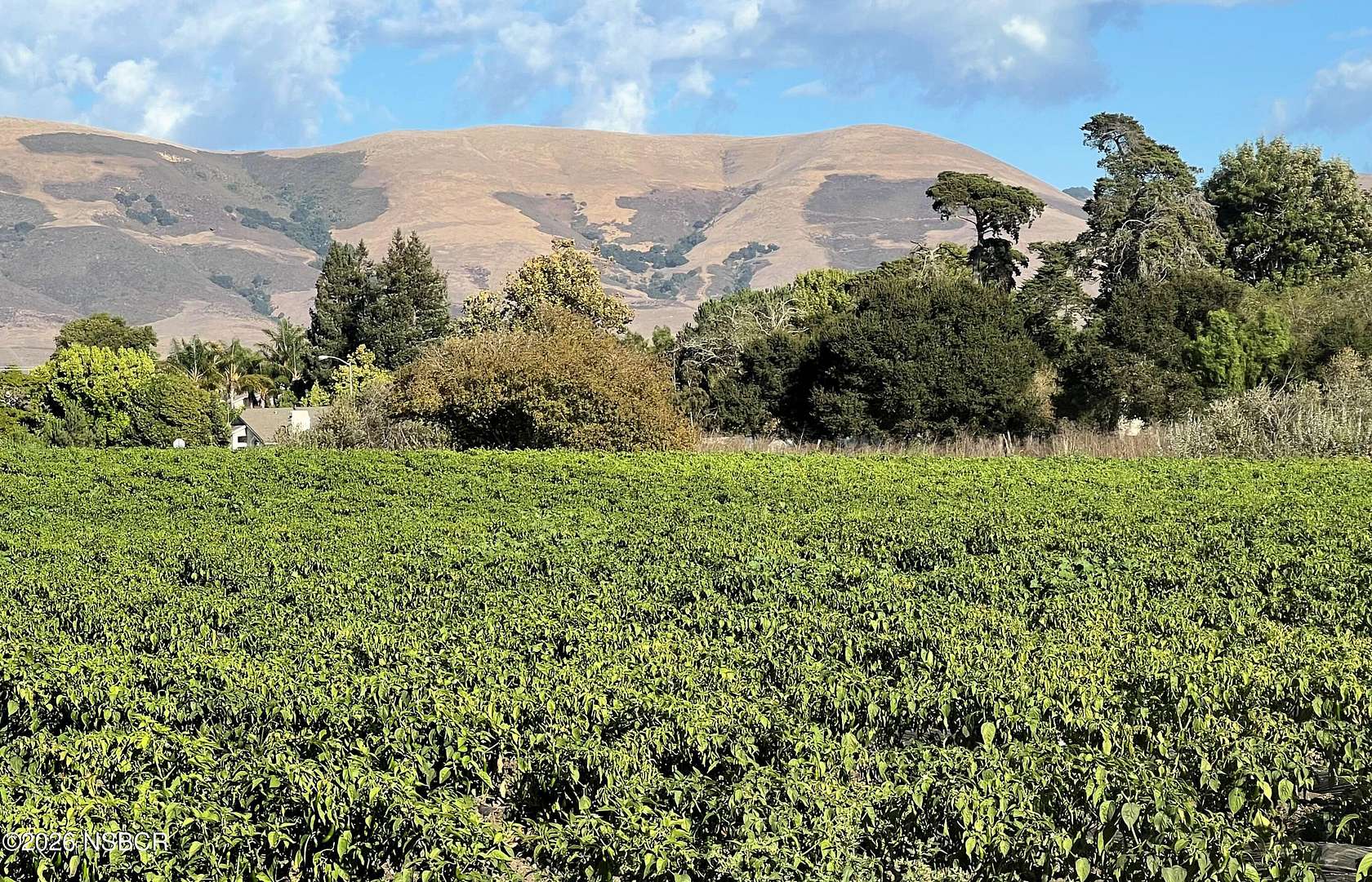 110 Acres of Agricultural & Residential Land for Sale in Nipomo, California