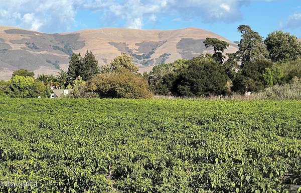 110 Acres of Agricultural Land for Sale in Nipomo, California