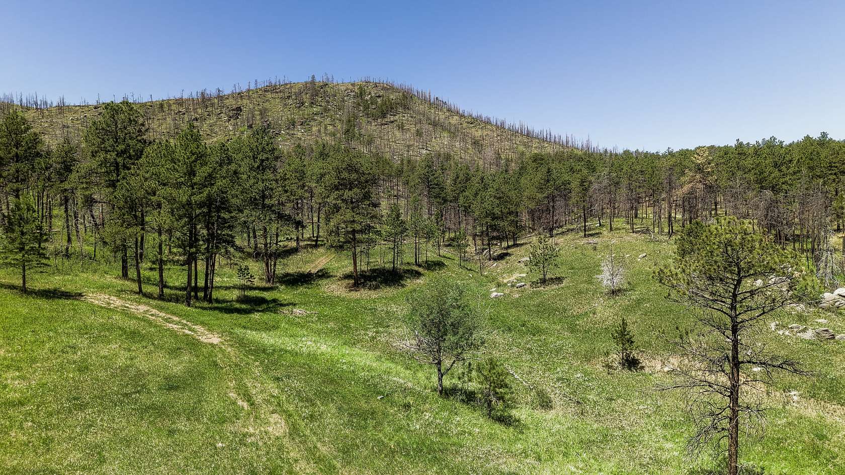 95 Acres of Recreational Land for Sale in Loveland, Colorado