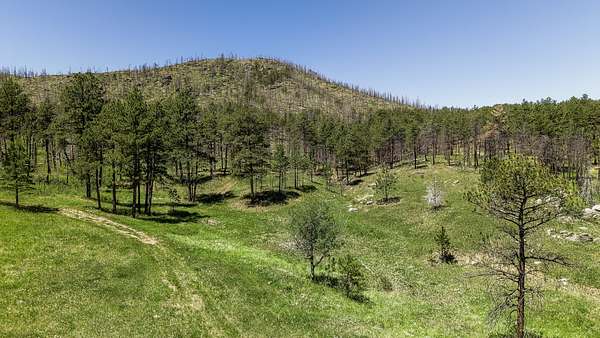 95 Acres of Recreational Land for Sale in Loveland, Colorado