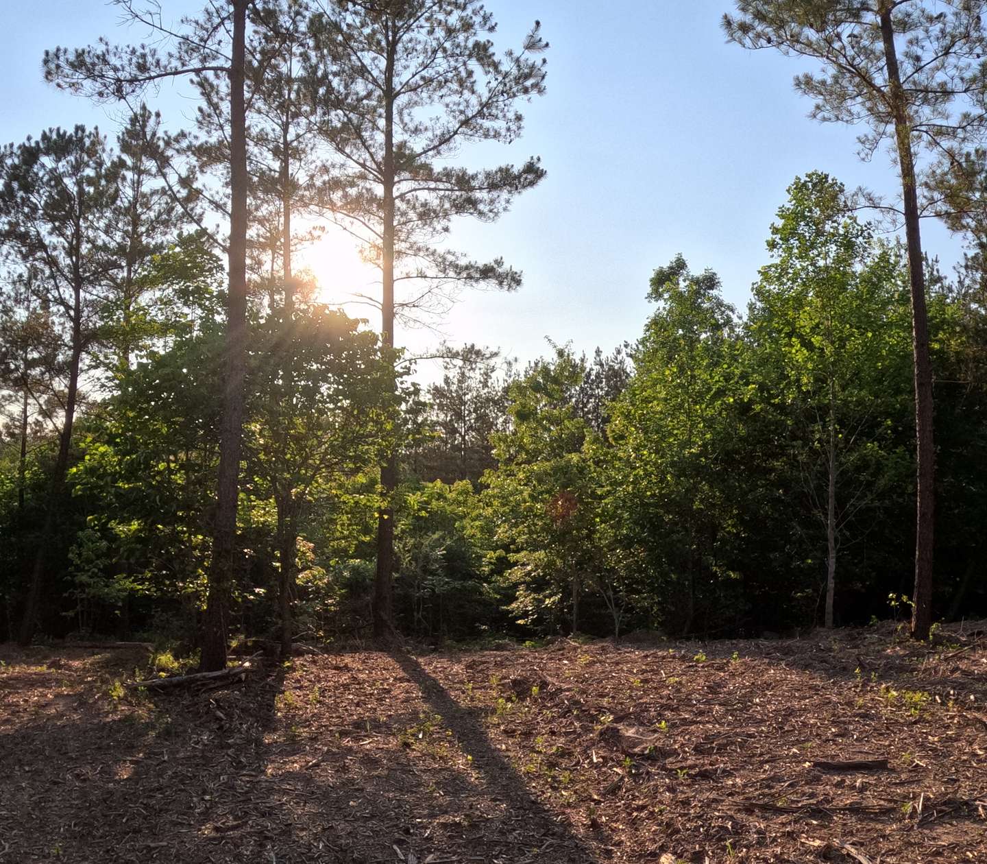 30 Acres of Land for Sale in Linden, Tennessee