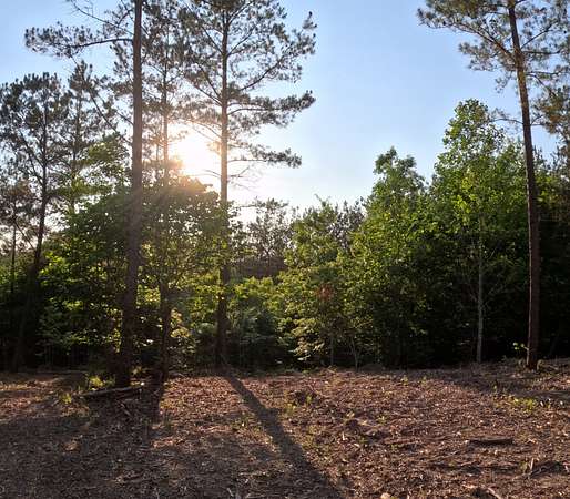 30 Acres of Land for Sale in Linden, Tennessee