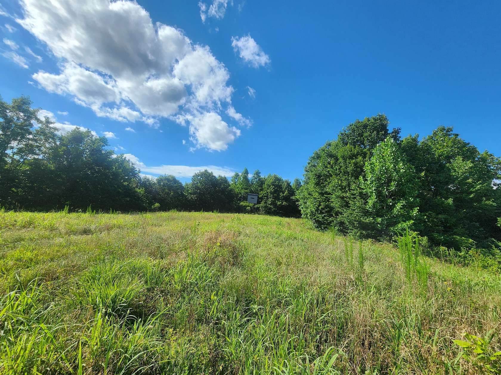 507 Acres of Land for Sale in Linden, Tennessee