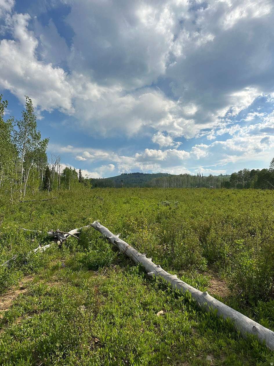 2 Acres of Land for Sale in Fairview, Utah